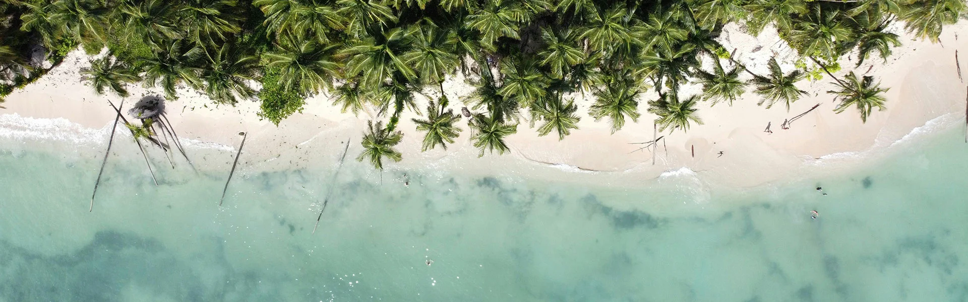 Viaggi e vacanze Panama